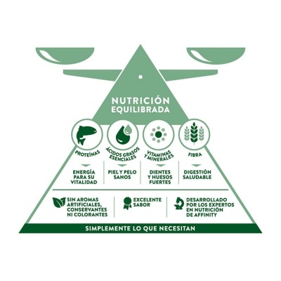 Gráfico verde de pirâmide de nutrição equilibrada com balança e ícones