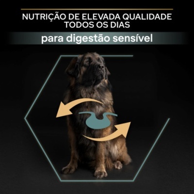 Imagem de um cão grande com texto sobre nutrição para digestão sensível