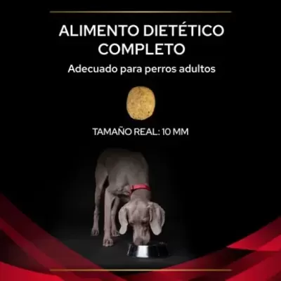 Imagem de ração para cães com texto e cão a comer