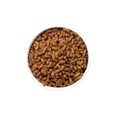 Tigela branca com ração seca castanha granulada vista de cima