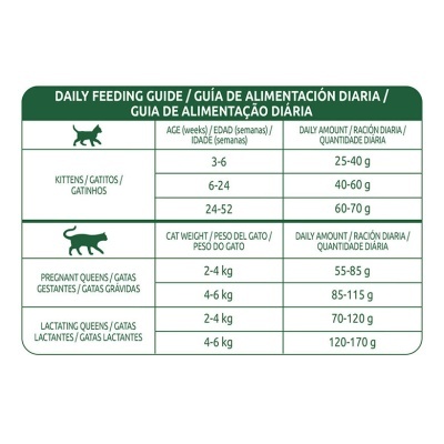 Tabela de guia de alimentação diária para gatos com texto em três idiomas e ícones de gatos