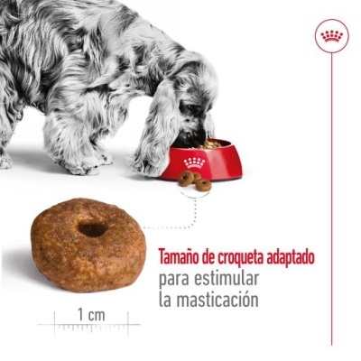 Cão a comer de uma tigela vermelha com ração circular e texto em espanhol sobre tamanho da croqueta