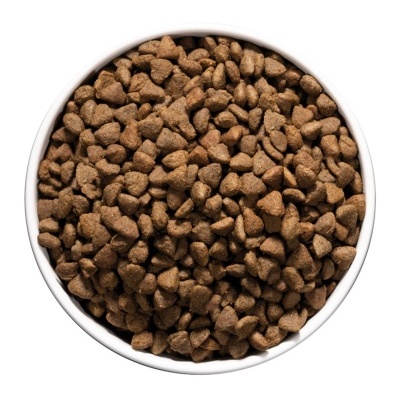 Tigela branca cheia de ração seca castanha para animais