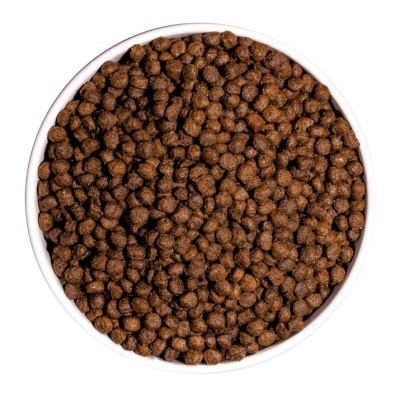 Tigela branca cheia de ração seca para animais, pellets castanhos escuros