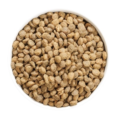 Tigela branca cheia de ração para animais castanha