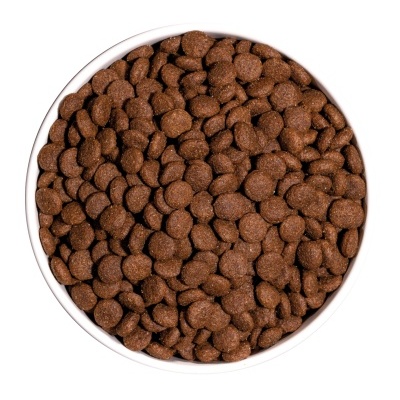 Tigela branca cheia de ração croquete castanha