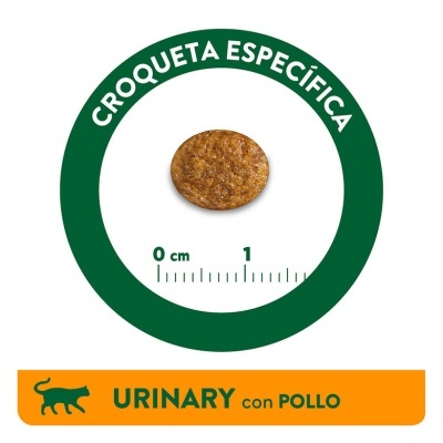 Croqueta castanha com escala e texto URINARY con POLLO em fundo laranja