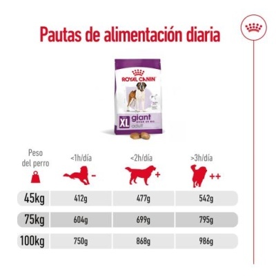 Embalagem roxa e branca de ração Royal Canin XL Giant Adult com tabela de alimentação diária para cães