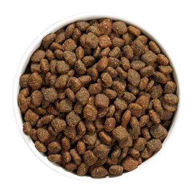 Tigela branca com ração seca para animais, bolinhas castanho escuro e claro.