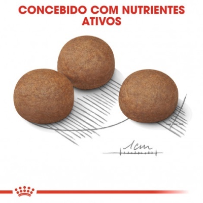 Três bolinhas marrons arredondadas com texto CONCEBIDO COM NUTRIENTES ATIVOS