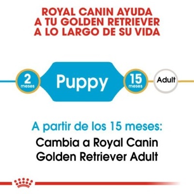 Texto promocional Royal Canin para Golden Retriever e logo da marca
