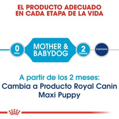 Texto sobre produtos Royal Canin para diferentes idades de cães