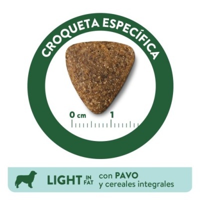 Croqueta triangular castanha com escala e texto explicativo