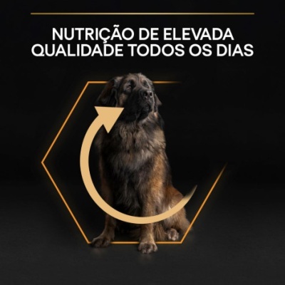 Cão grande sentado dentro de hexágono laranja, texto sobre qualidade de nutrição