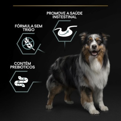 Cão pastor australiano com texto sobre cuidados nutricionais em fundo preto
