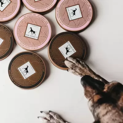 Latas de petiscos para cão em rosa e castanho com etiqueta e cão a tocar numa lata castanha