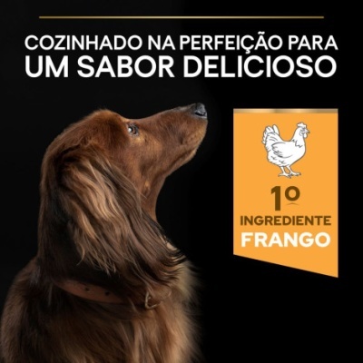 Cão castanho com texto 'Cozinhado na perfeição para um sabor delicioso' e selo laranja '1º ingrediente frango'