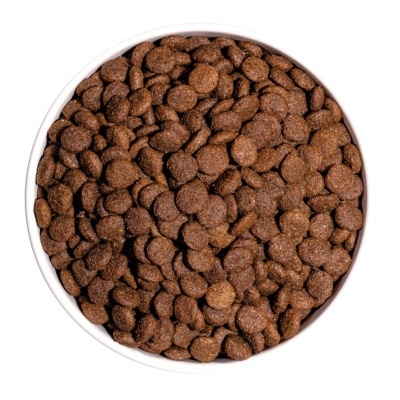 Tigela branca com ração seca para animais castanha escura