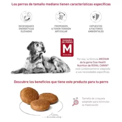 Imagem promocional de ração para cães de tamanho médio Royal Canin, com cão e croquetes exibidos