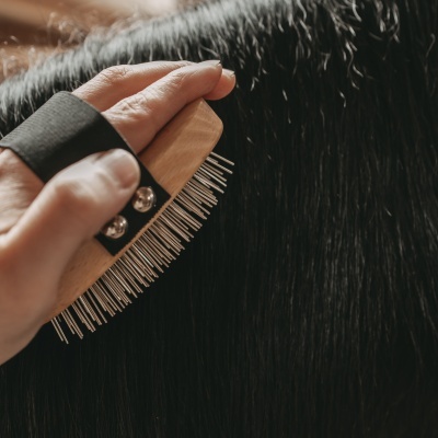 Escova de madeira com cerdas metálicas a pentear pelo preto