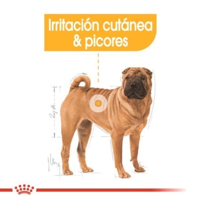 Imagem de um cão Shar Pei com texto sobre irritação cutânea e picores