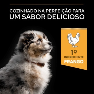 Cão com pele malhada e texto sobre ingrediente frango