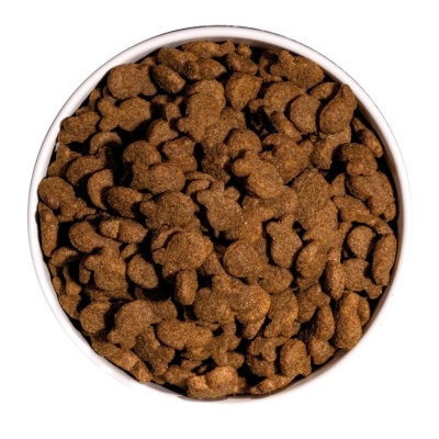 Taça com ração seca castanha para animais