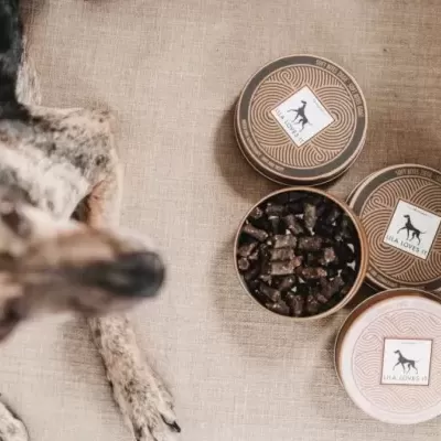 Três latas de petiscos para cães em superfície bege junto a um cão.