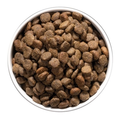 Tigela branca com ração seca castanho escuro