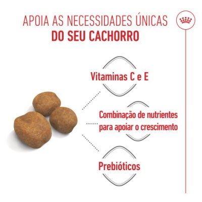 ração para cães com vitaminas e prebióticos