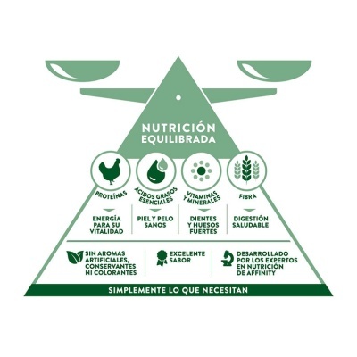 Pirâmide verde com texto sobre nutrição equilibrada e benefícios