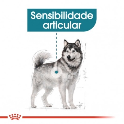 Ilustração de cão com destaque na articulação e texto 'Sensibilidade articular'