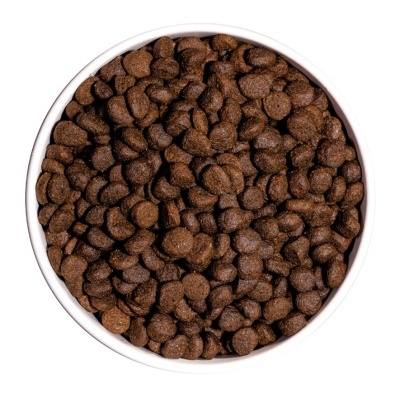 Tigela branca com ração seca castanha escura
