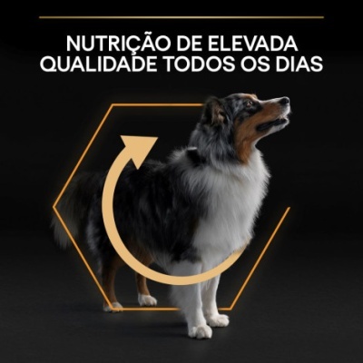 Cão tricolor com texto sobre nutrição de elevada qualidade em fundo preto