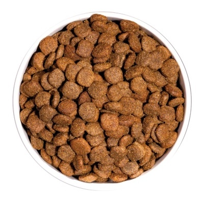 Taça branca cheia de ração seca para animais, vista de cima.