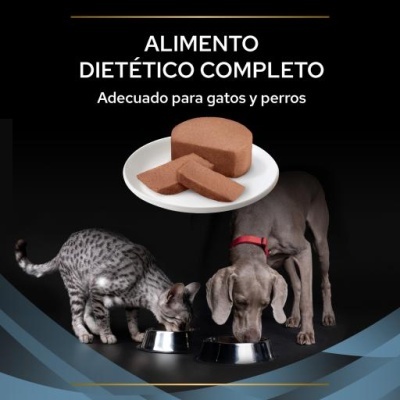 Gato e cão a comer ração dietética apresentada em patê, texto ALIMENTO DIETÉTICO COMPLETO Adecuado para gatos y perros