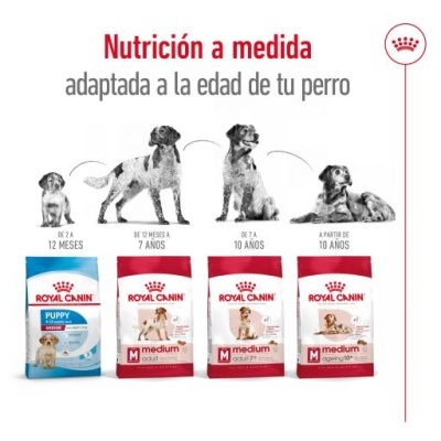 Quatro sacos de ração Royal Canin para cães com indicação de idade para cada produto.