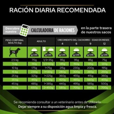 Tabela de ração diária recomendada para cães por peso e idade