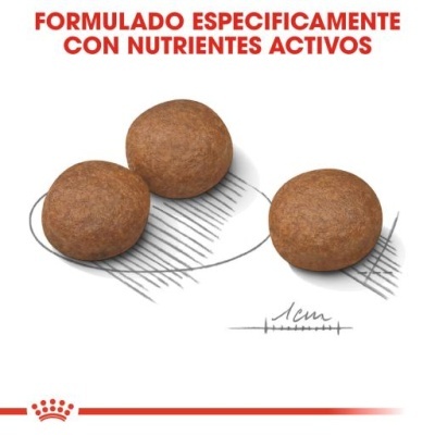 Três bolinhas marrons de ração com texto FORMULADO ESPECIFICAMENTE CON NUTRIENTES ACTIVOS