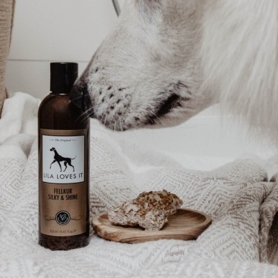 Frasco de produtos para animais com cão a cheirar