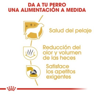 Imagem informativa sobre alimentação personalizada para cães com texto em espanhol e ícones