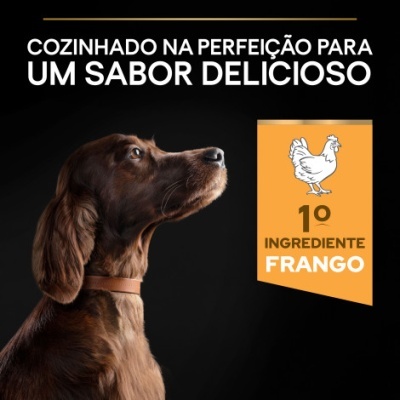Cão castanho com texto promocional de ração para cães com frango como ingrediente principal