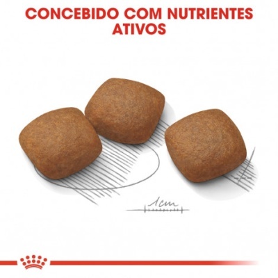 Três croquetes castanho-escuros com textura, texto consegui com nutrientes ativos