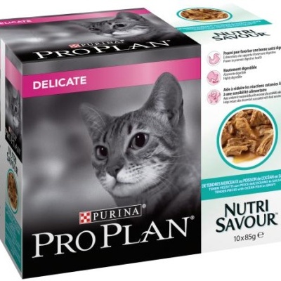 Pacote Purina Pro Plan Delicate para gatos com foto de gato cinza