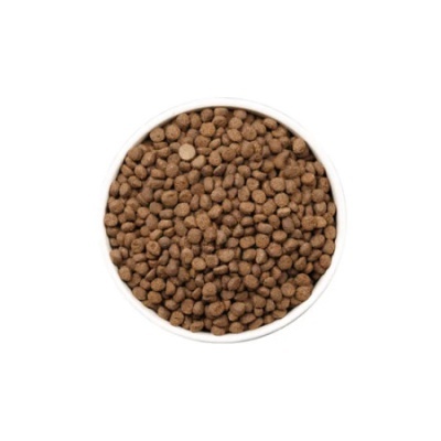 Taça branca com ração seca castanho claro, bolinhas pequenas, fundo branco