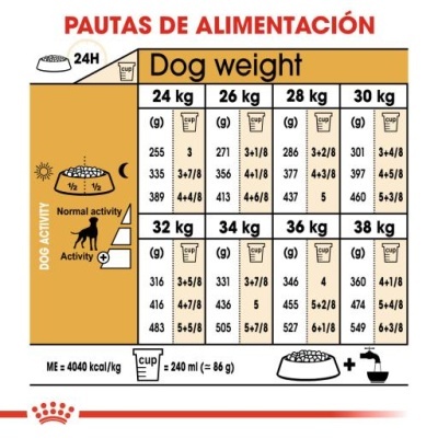 Tabela de alimentação para cães com quantidades recomendadas em gramas e copos para pesos de 24 a 38 kg e níveis de atividade