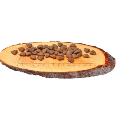 Croquetes de comida para animais sobre tábua de madeira com régua