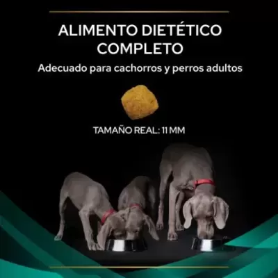 Ração dietética para cães, três cães cinzentos com coleiras vermelhas a comer em tigelas prateadas