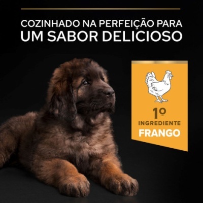 Cão castanho e preto deitado com texto promocional sobre alimento para cães e selo destacando ingrediente frango