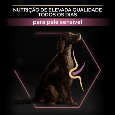 Cão castanho sentado com texto promocional para pele sensível